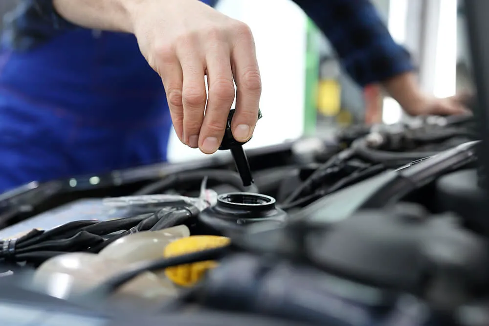 Auto Fluids by Their Color